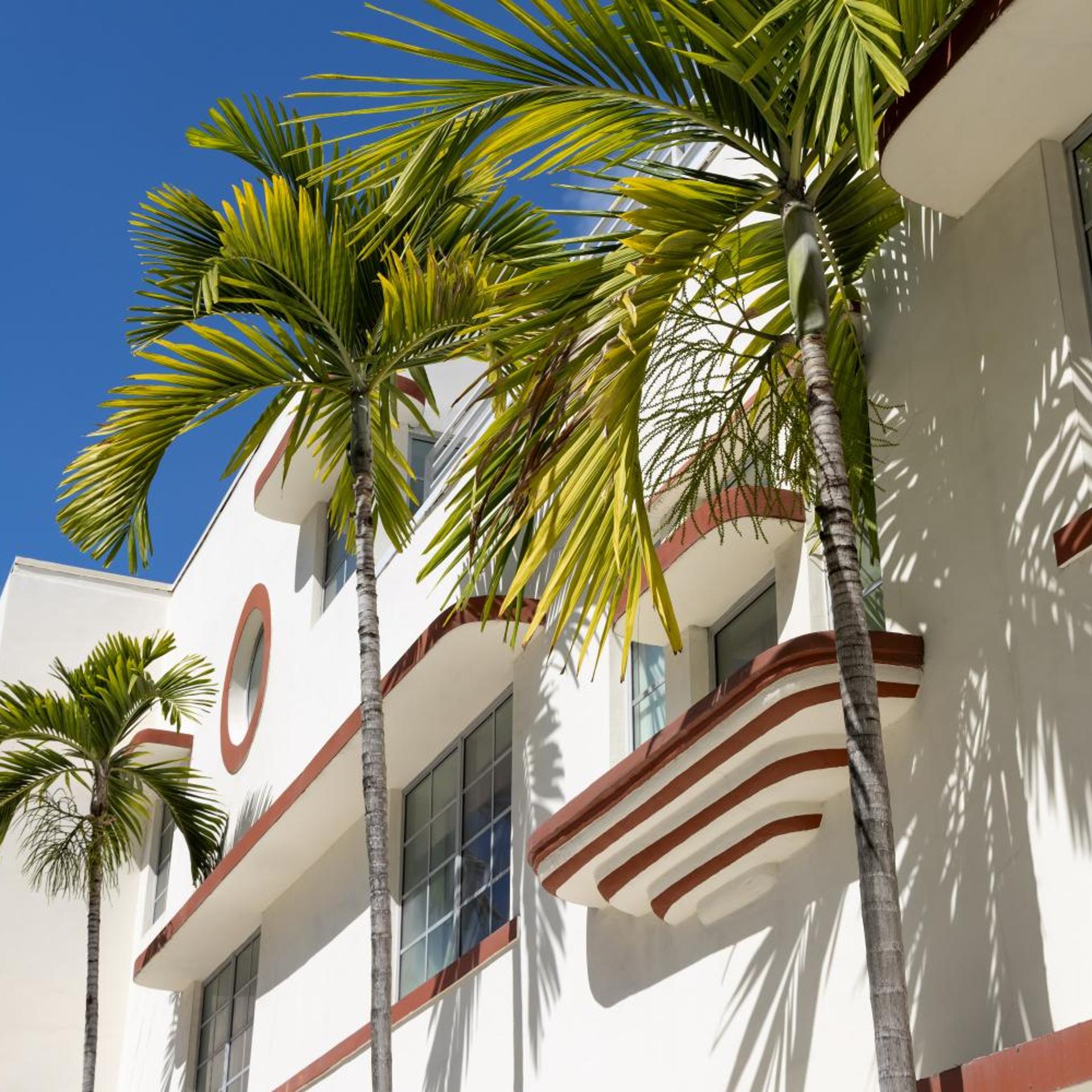 Collins Court South Beach 4/29
