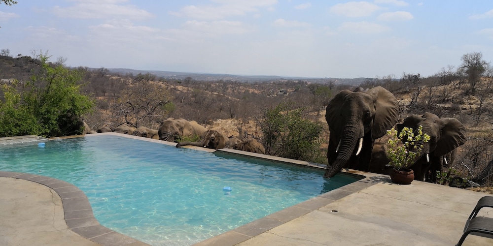 Mbizi Bush Lodge 42/50