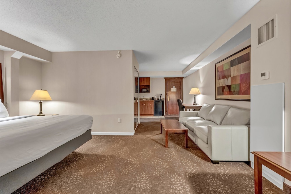 Buffalo Airport Hotel 21/61