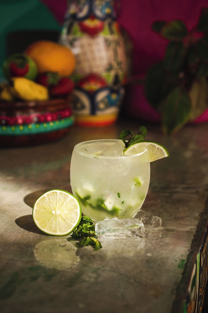 Vallarta Sun酒店(Vallarta Sun) 图片3