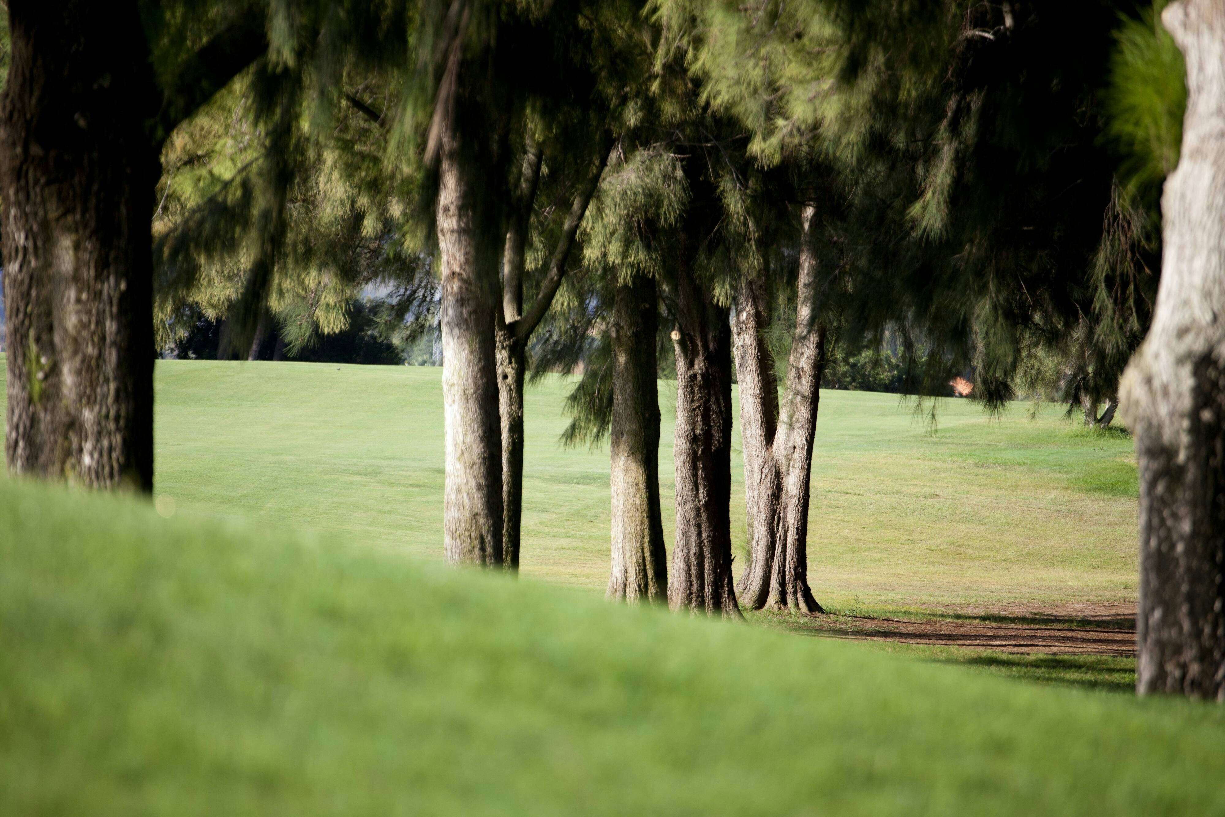Hotel Denia La Sella Golf Resort And Spa Formerly Denia Marriott La Sella Golf Resort 55/67