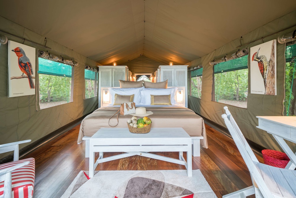 Flameback Eco Lodge 14/61