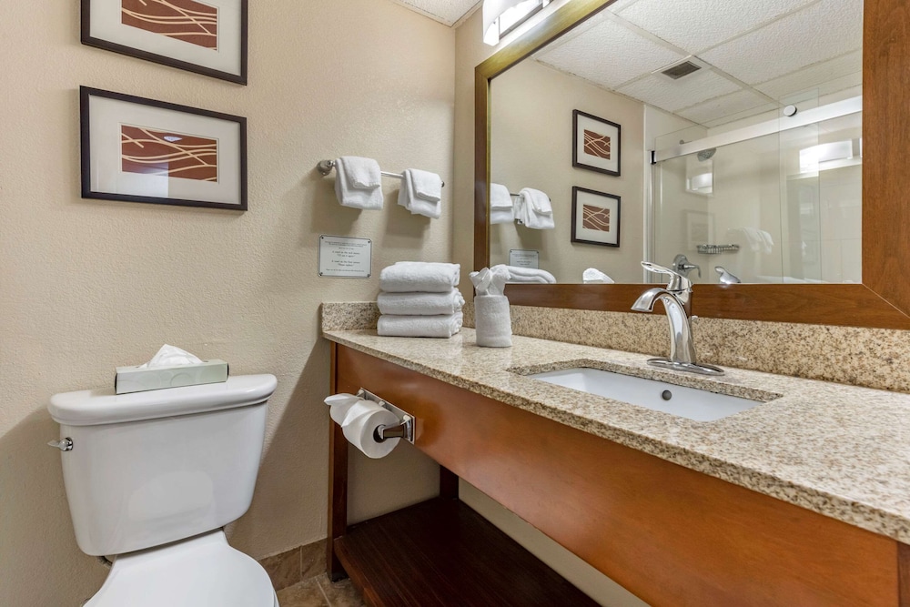Comfort Inn Cranberry Twp. 39/45