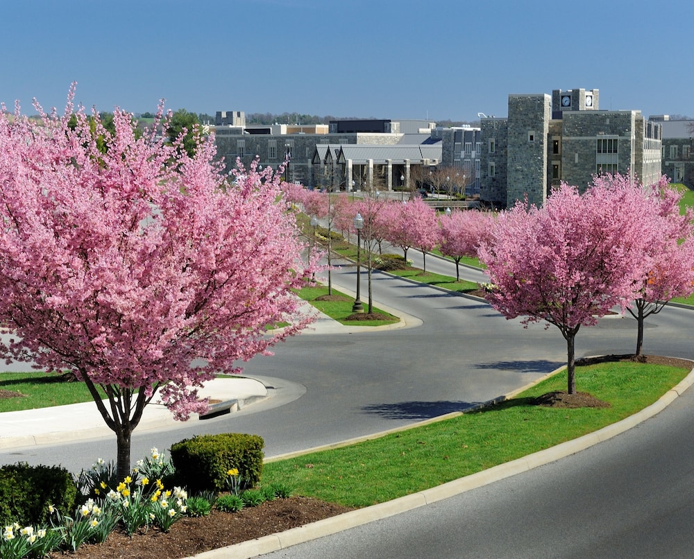 The Inn At Virginia Tech And Skelton Conference Center 43/50