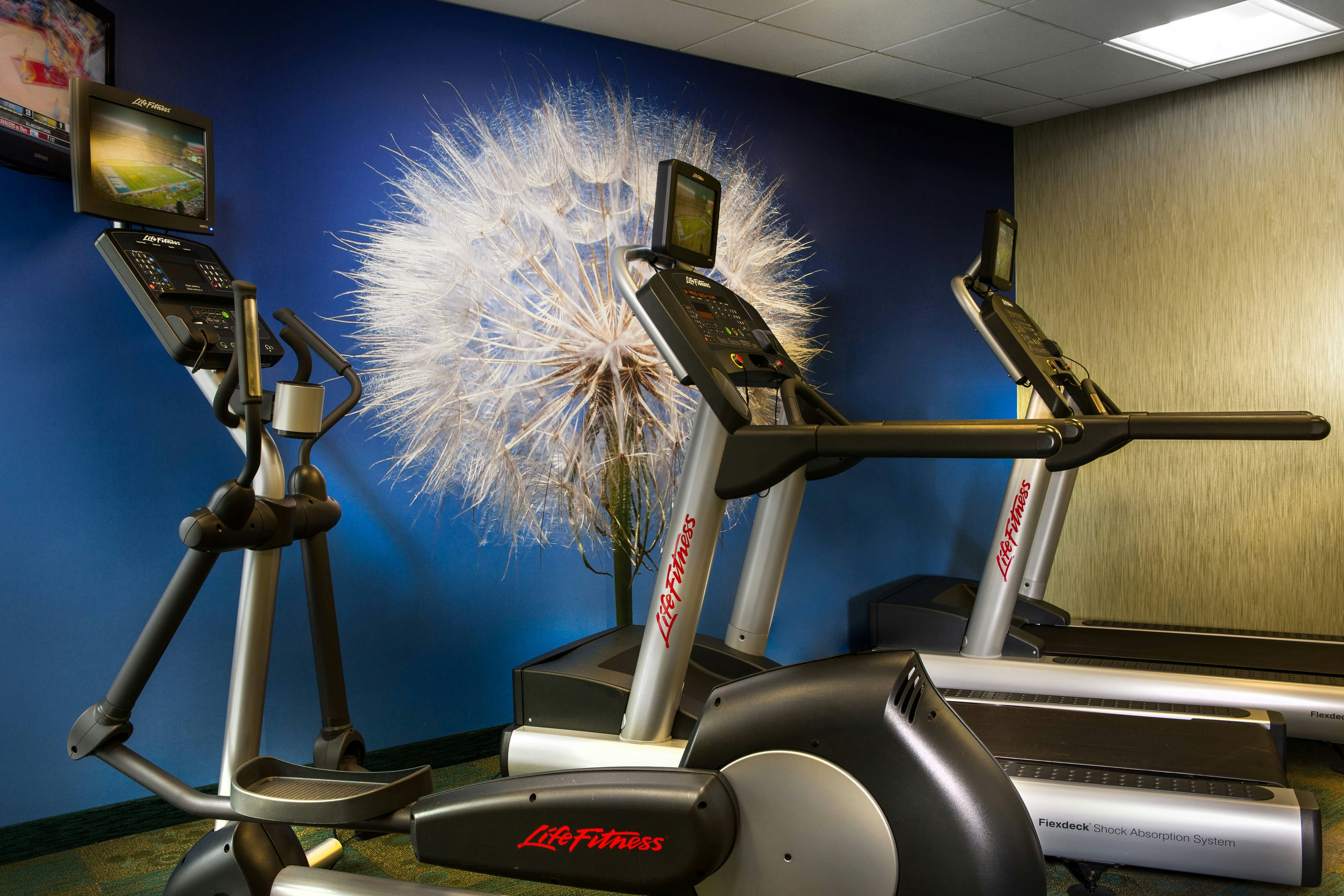 SpringHill Suites by Marriott Dallas DFW Airport N/Grapevine 15/23