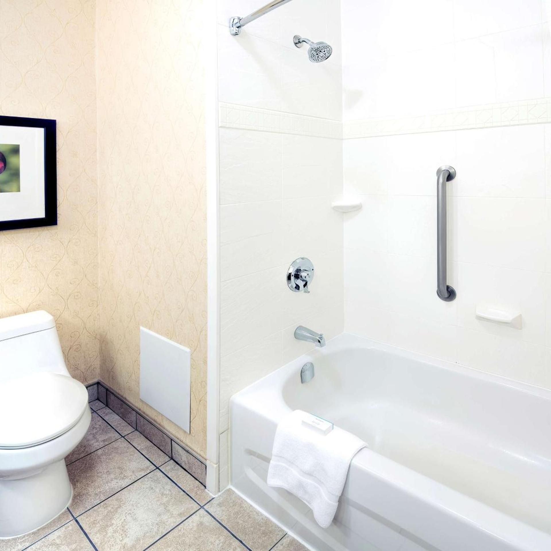 Conference, Evolution, Suite, King Bed