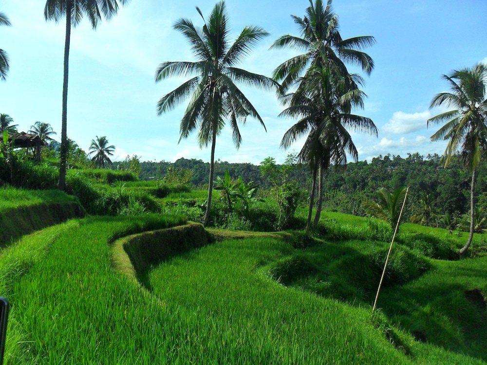 Adi Rama Beach 60/71