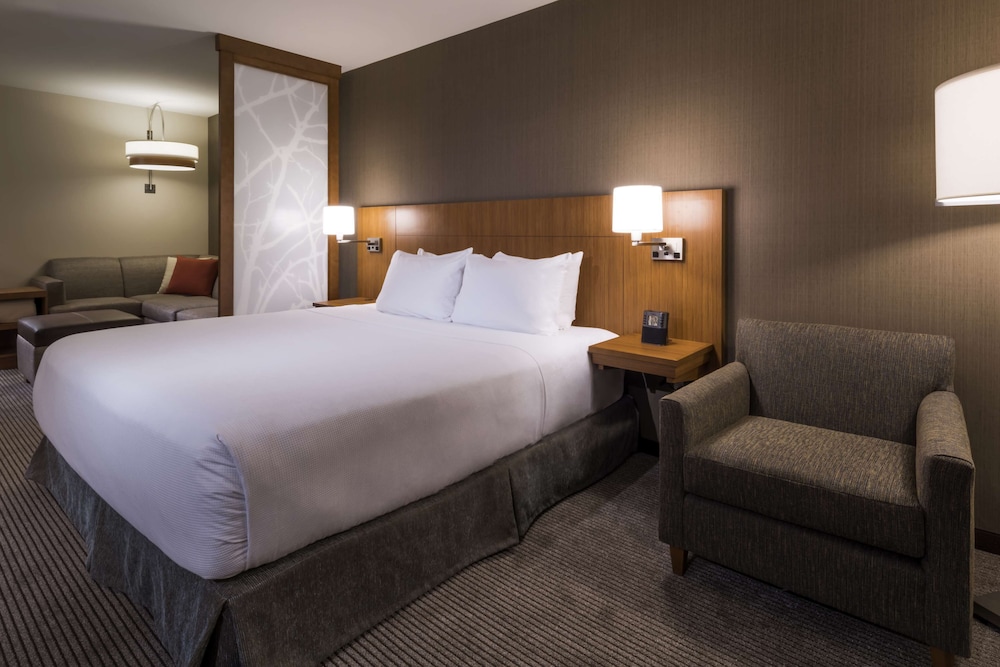 Room, King Bed, Sofa, Accessible