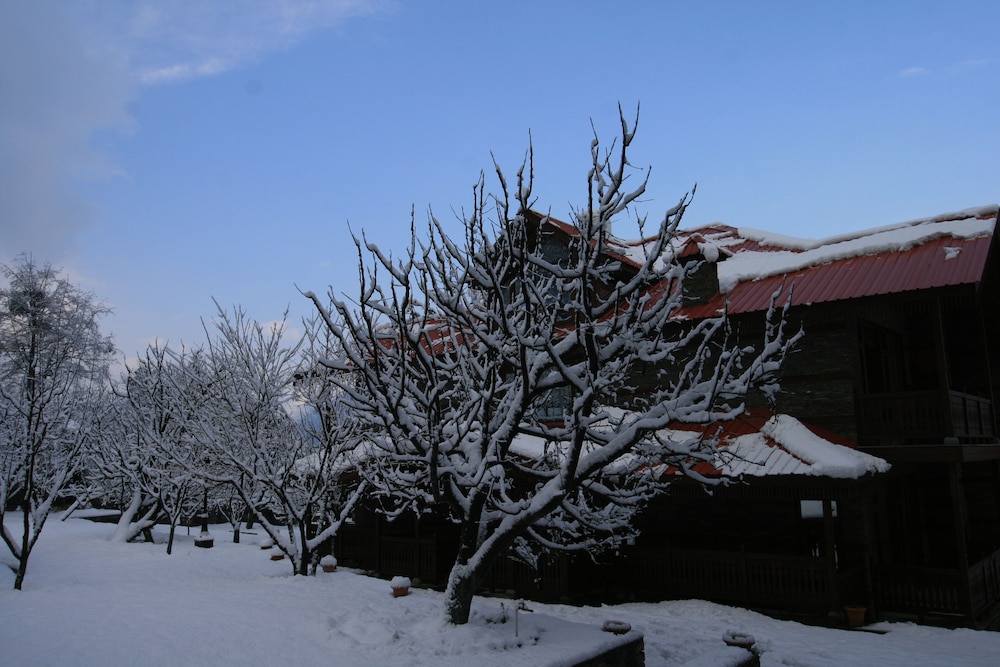Shivadya Resort & Spa 37/50
