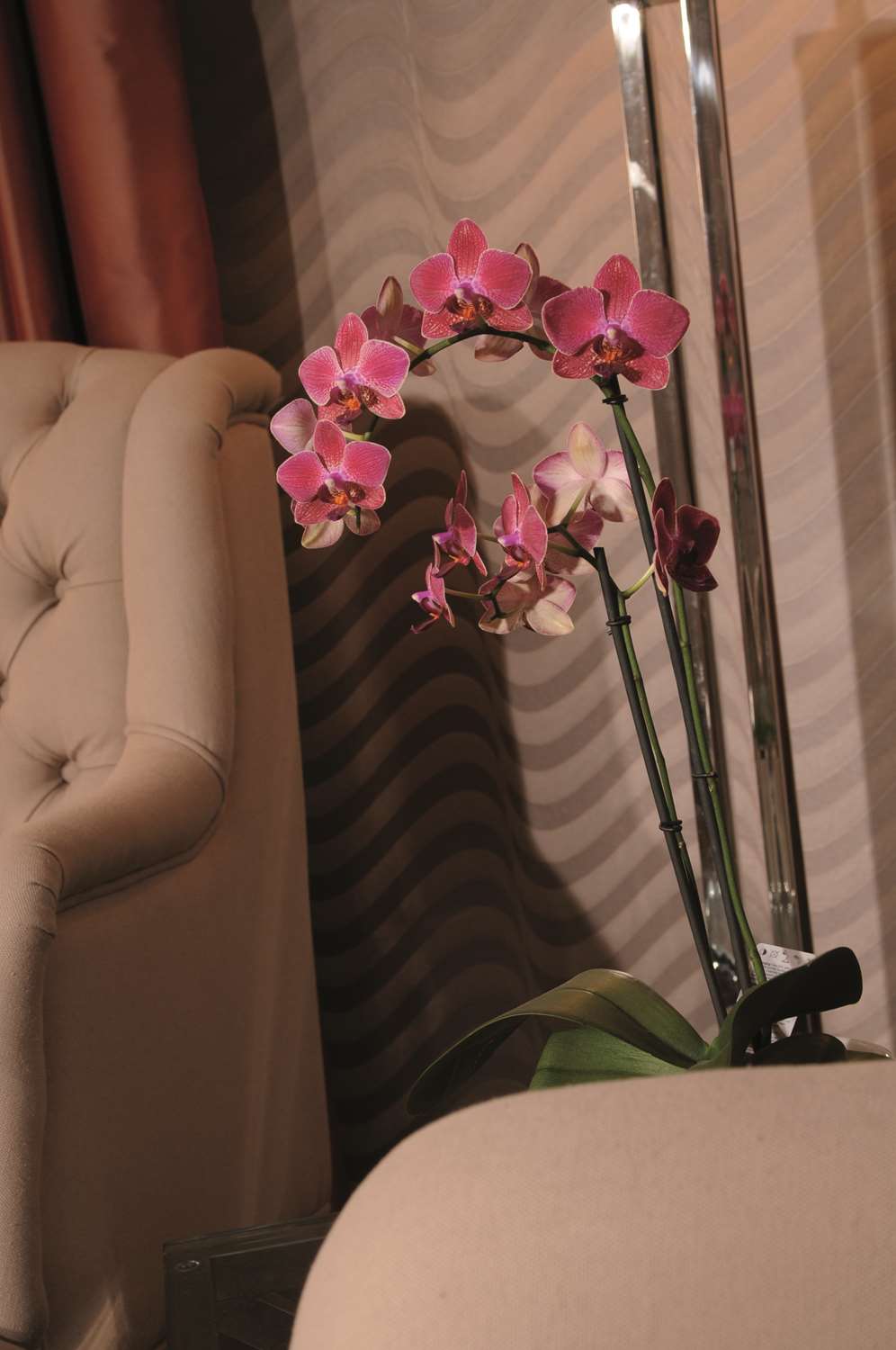 Best Western Plus Hotel Stadtpalais 18/25