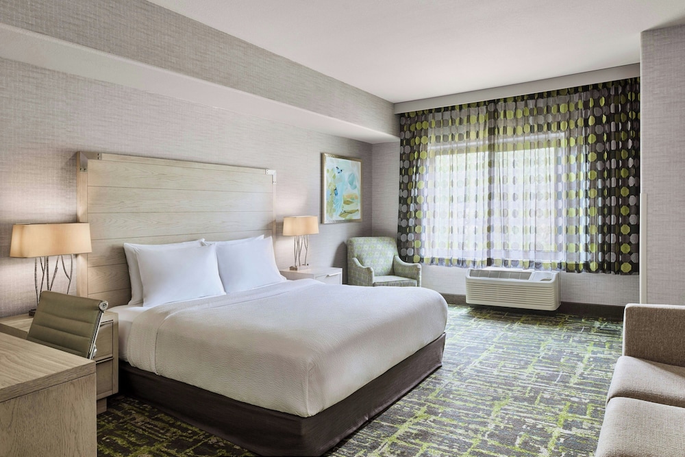Suite, King Bed, Sofa, Accessible