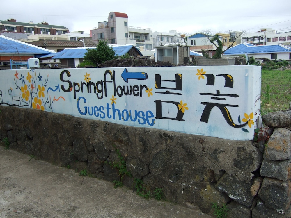Springflower Guesthouse - Hostel 3/39