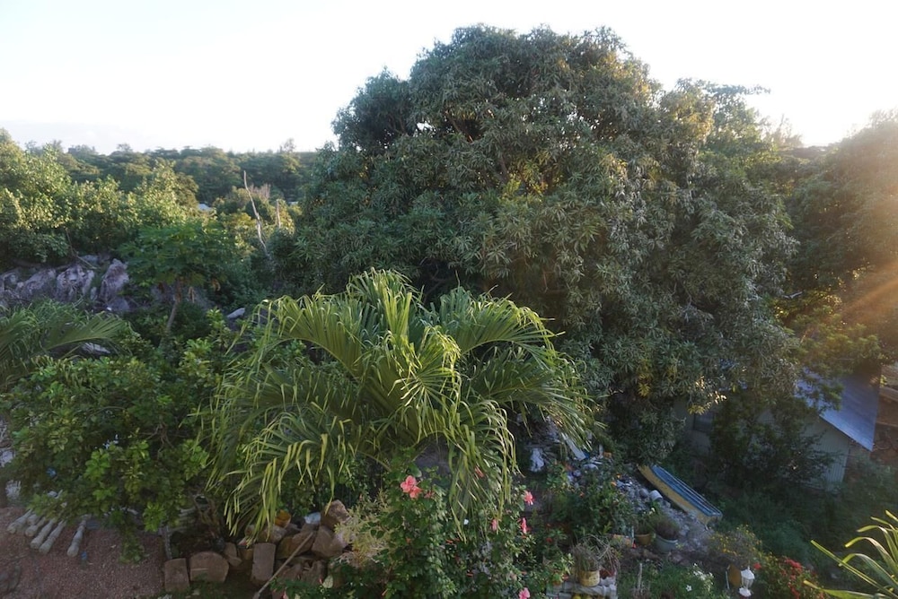 Villa Hortensia 44/50