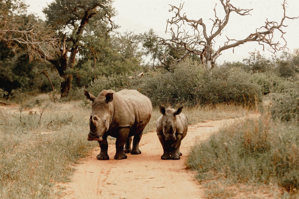 Radisson Safari Hotel Hoedspruit 65/68