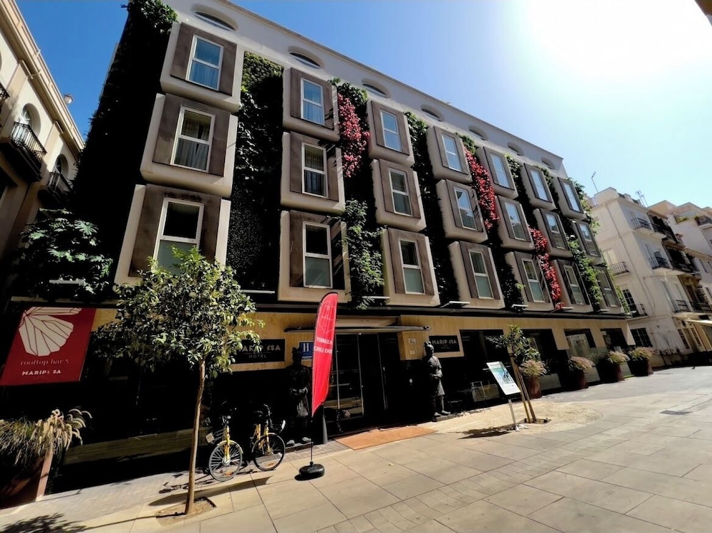 马拉加马里波萨酒店(Mariposa Hotel (ex Room Mate Lola))(Mariposa Hotel (ex Room Mate Lola)) 图片3