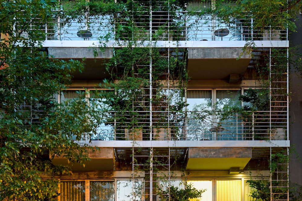Palo Santo Hotel 4/74