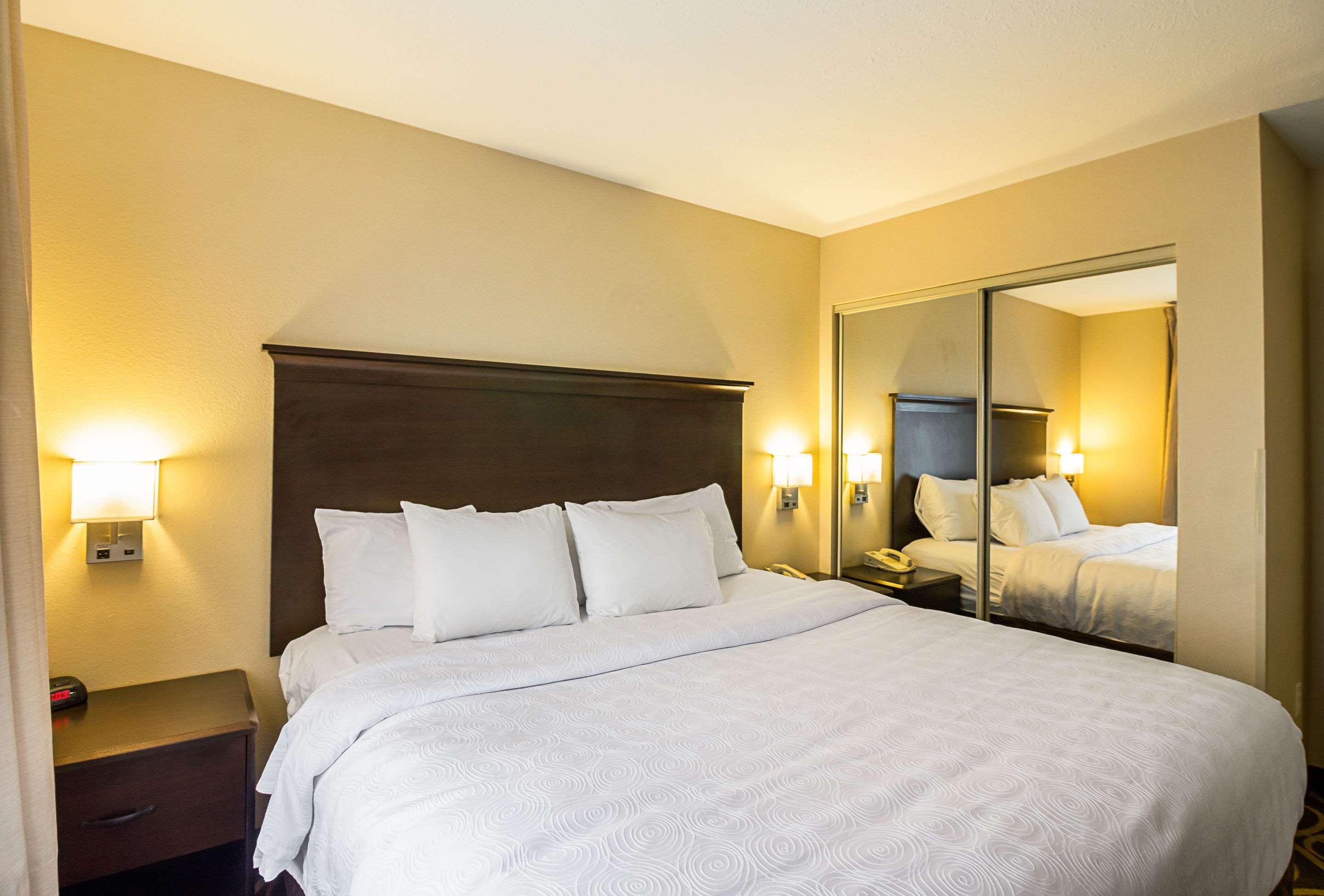SUITE, KING BED