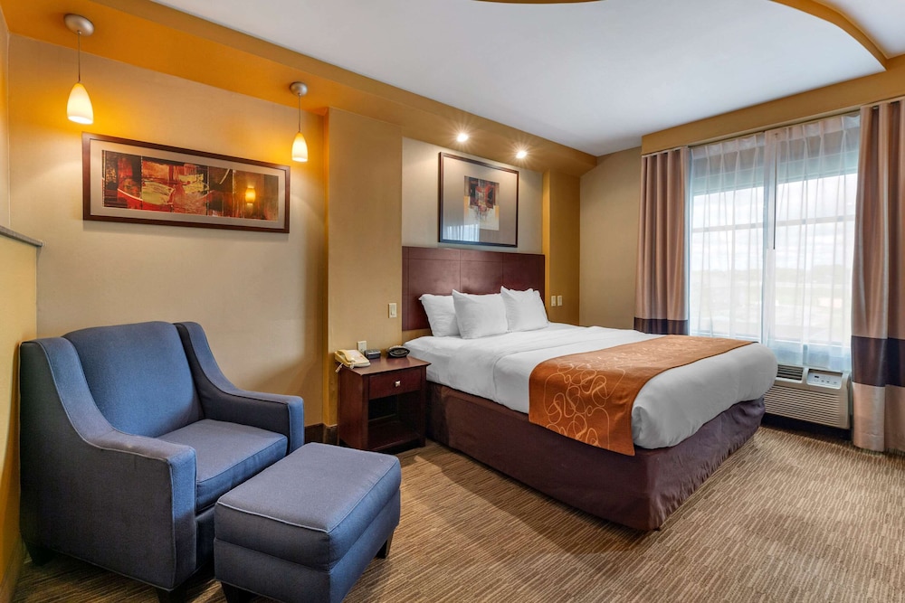Comfort Suites Perrysburg - Toledo South 14/49
