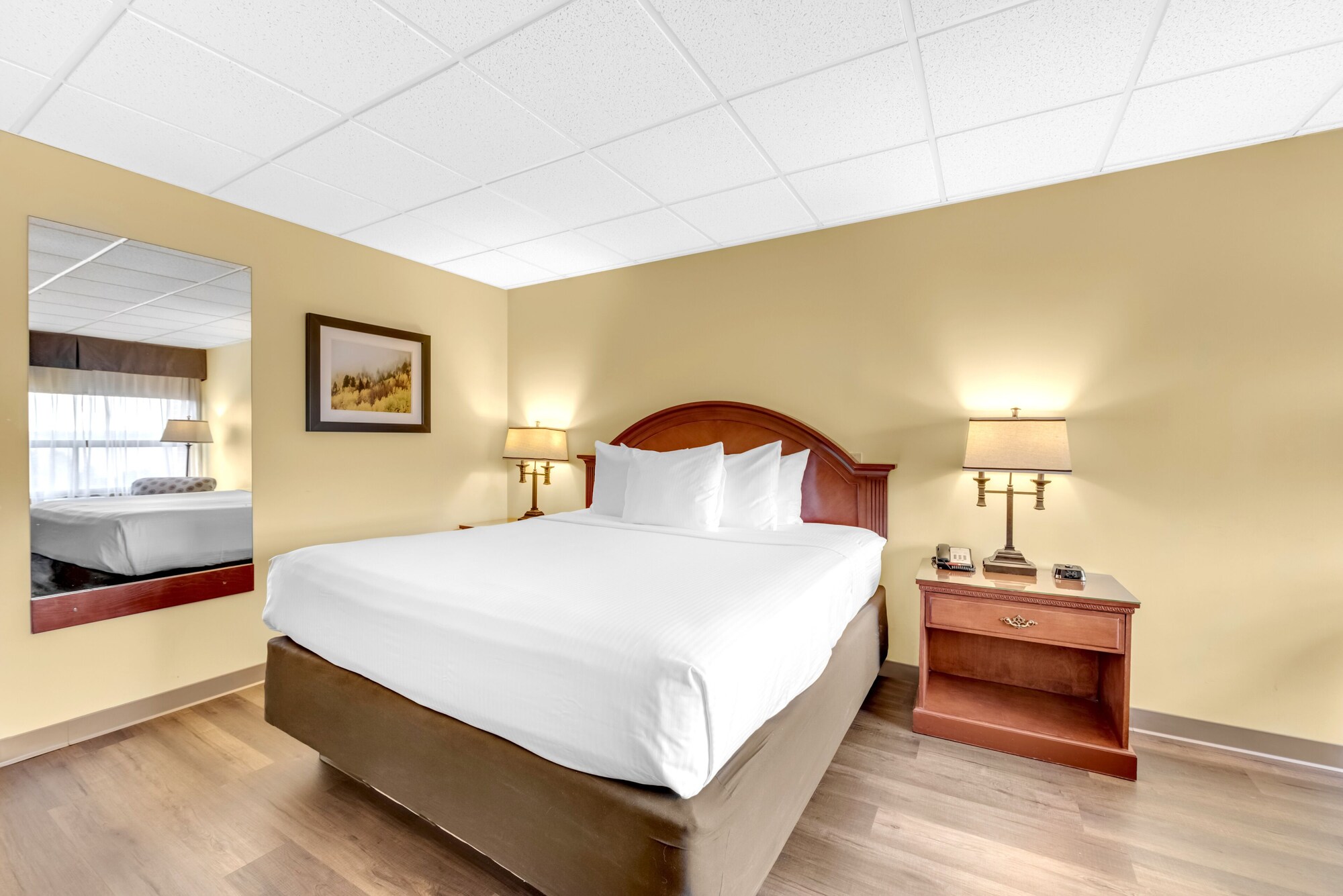 ROOM, KING BED, PET FRIENDLY
