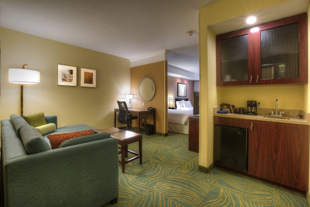 Springhill Suites Tampa Brandon 39/60