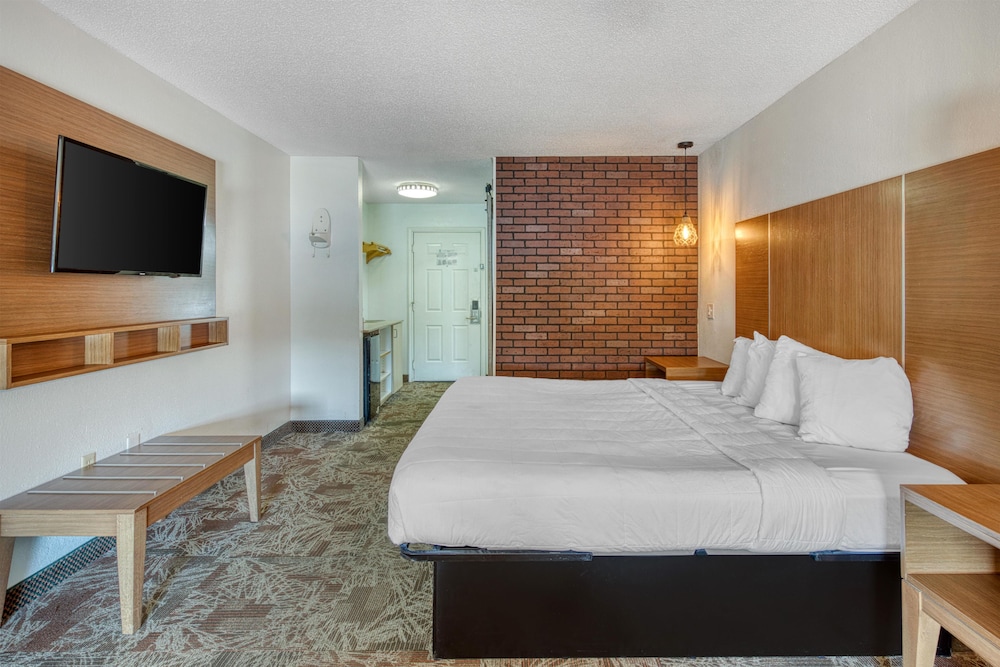 Suite, King Bed, Sofa