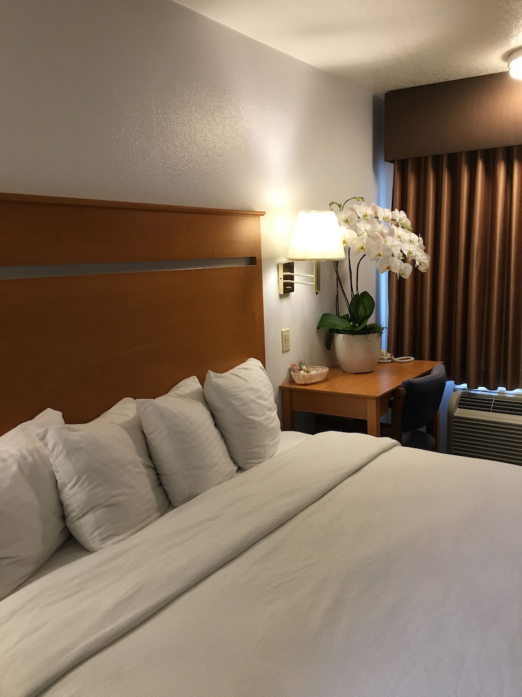 Oceanview Motel - Huntington Beach 31/50