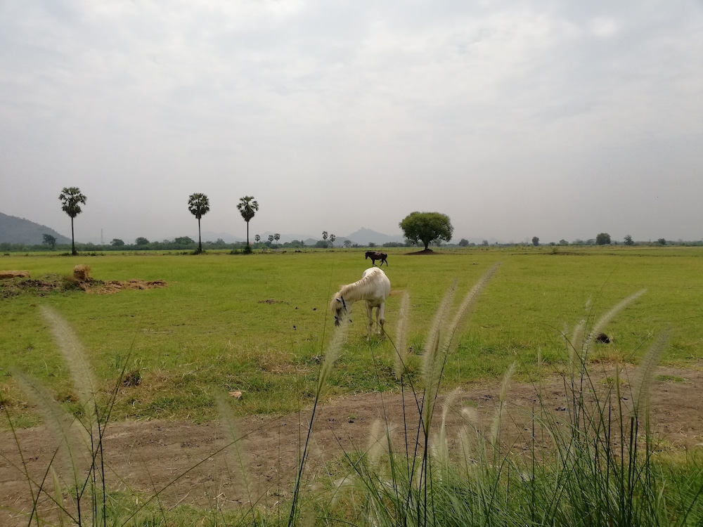 Wanlapa Farmstay 33/41