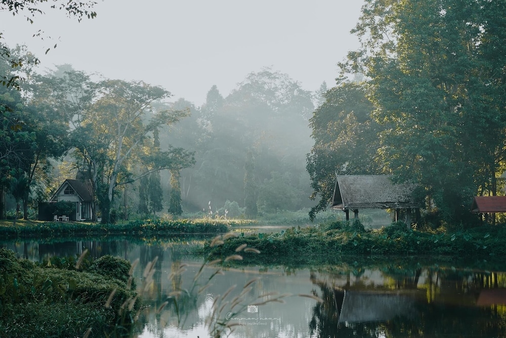 Sappraiwan Elephant Resort & Sanctuary 44/50