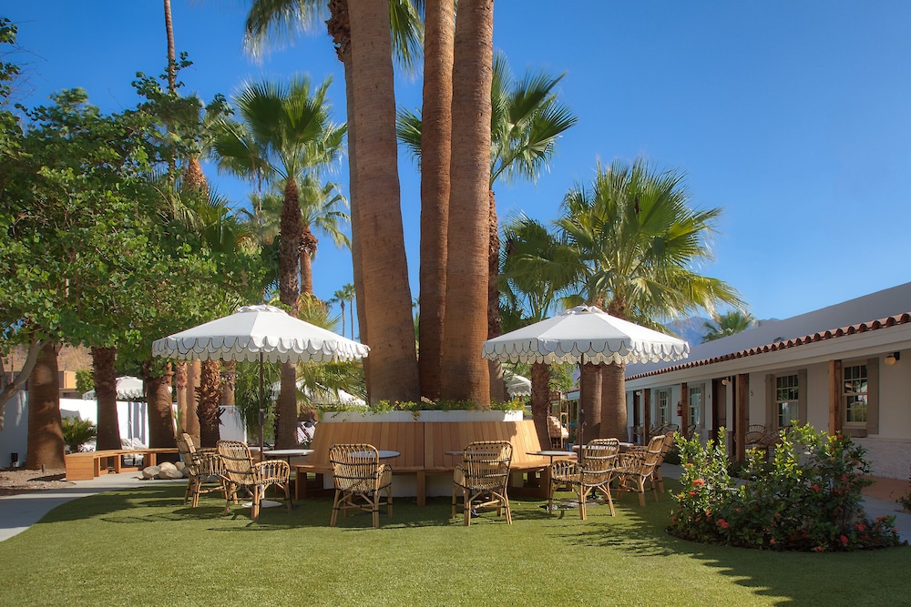 Dive Palm Springs 36/50
