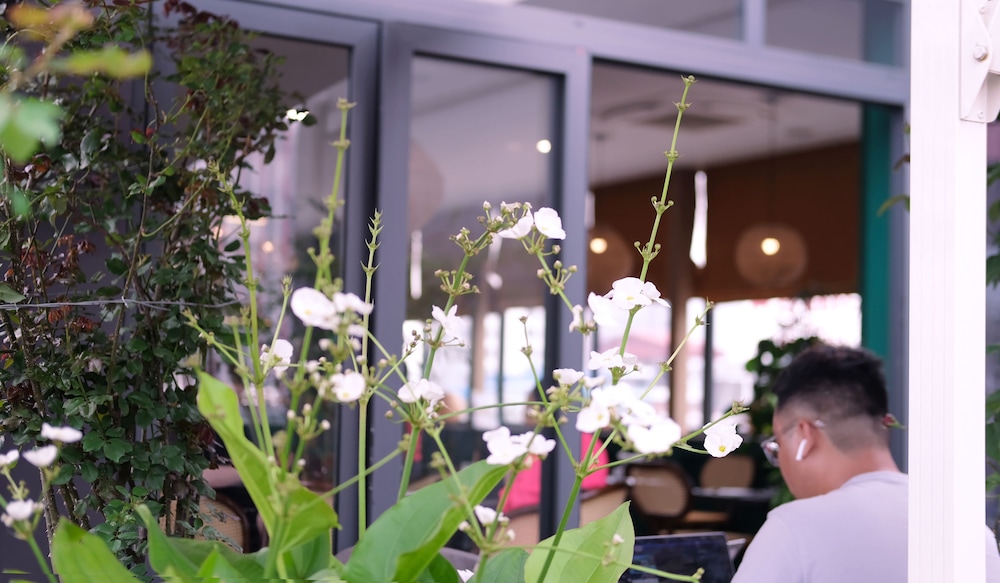 The Bloom Classic - Hotel and Bistro 4/49