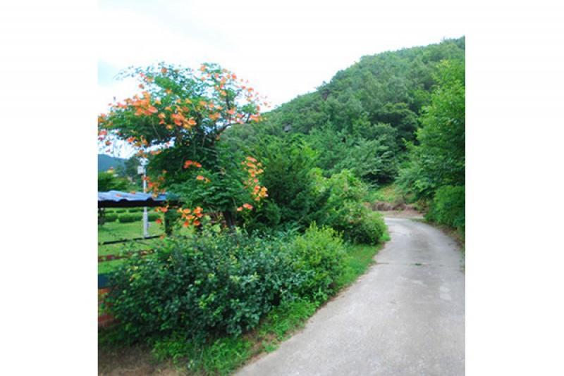 Gangneung Sanseong Park Pension 6/8