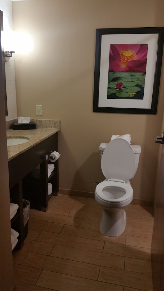 Comfort Inn and Suites San Marcos 46/47