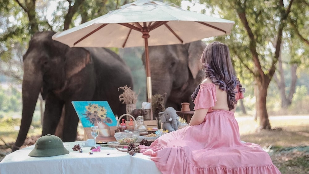 Sappraiwan Elephant Resort & Sanctuary 23/50