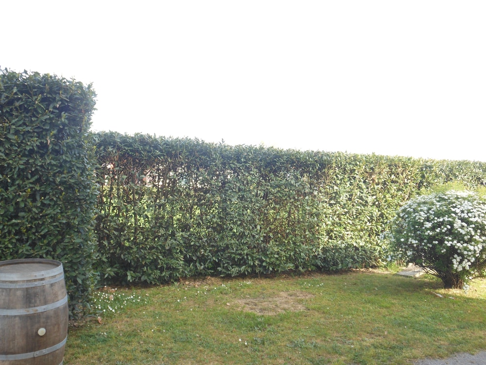Bed & Breakfast La Corte 25/25