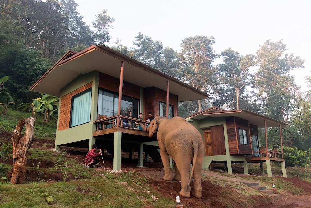 Chiang Mai Elephant Friends 1/50