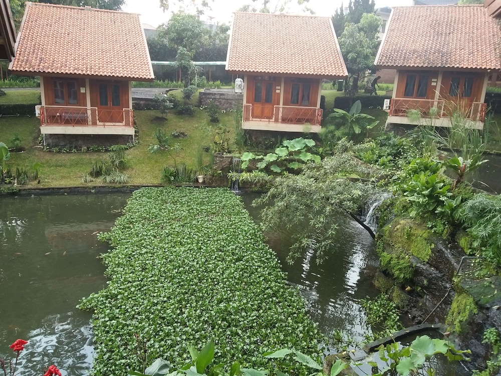 Ahadiat Hotel And Bungalow 47/50
