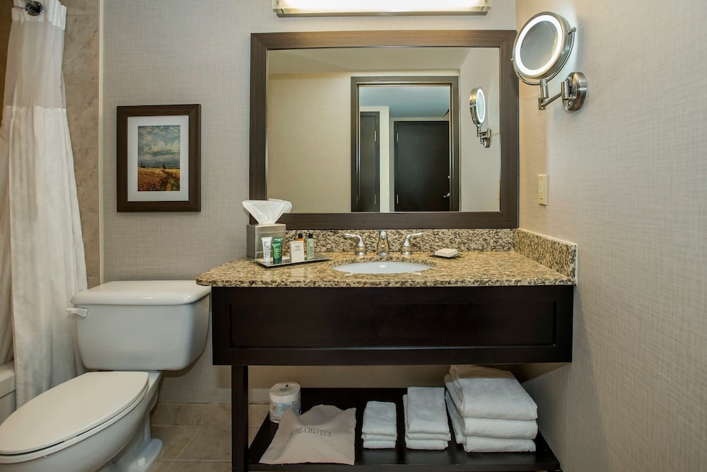 Hilton Winnipeg Airport Suites 19/65