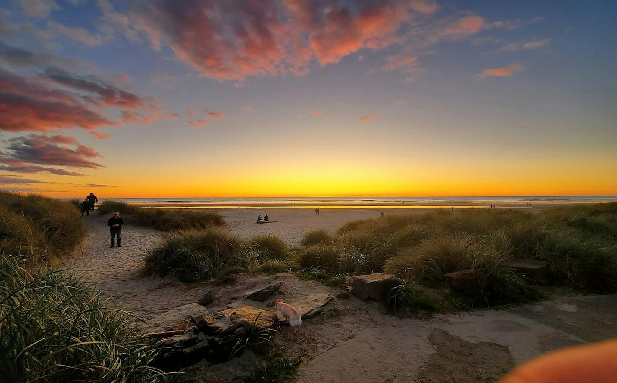 The Inn at Manzanita 11/20