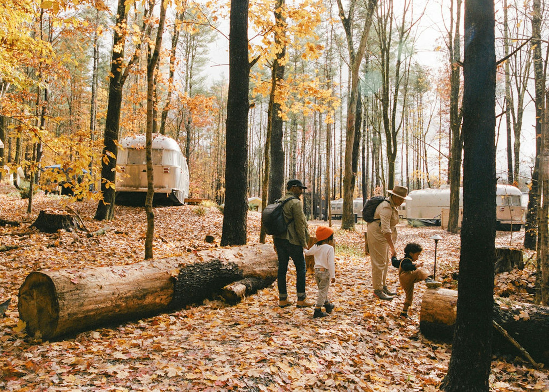 AutoCamp Catskills 10/50