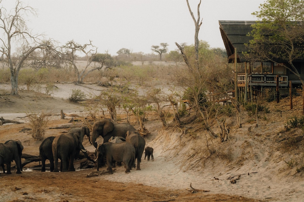 Belmond Safaris 44/49