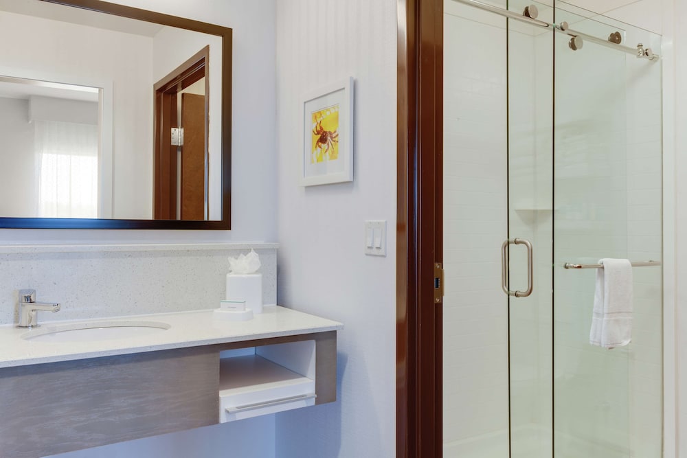 Hampton Inn Suites Deland 32/77