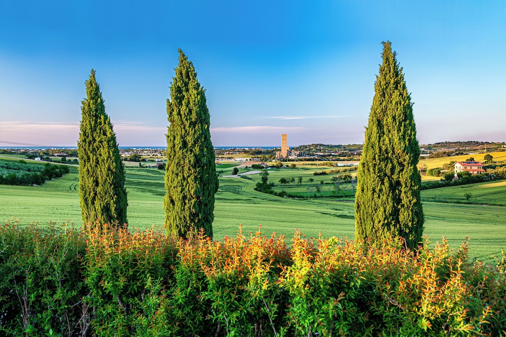 Il Podere Del Germano Reale 44/50