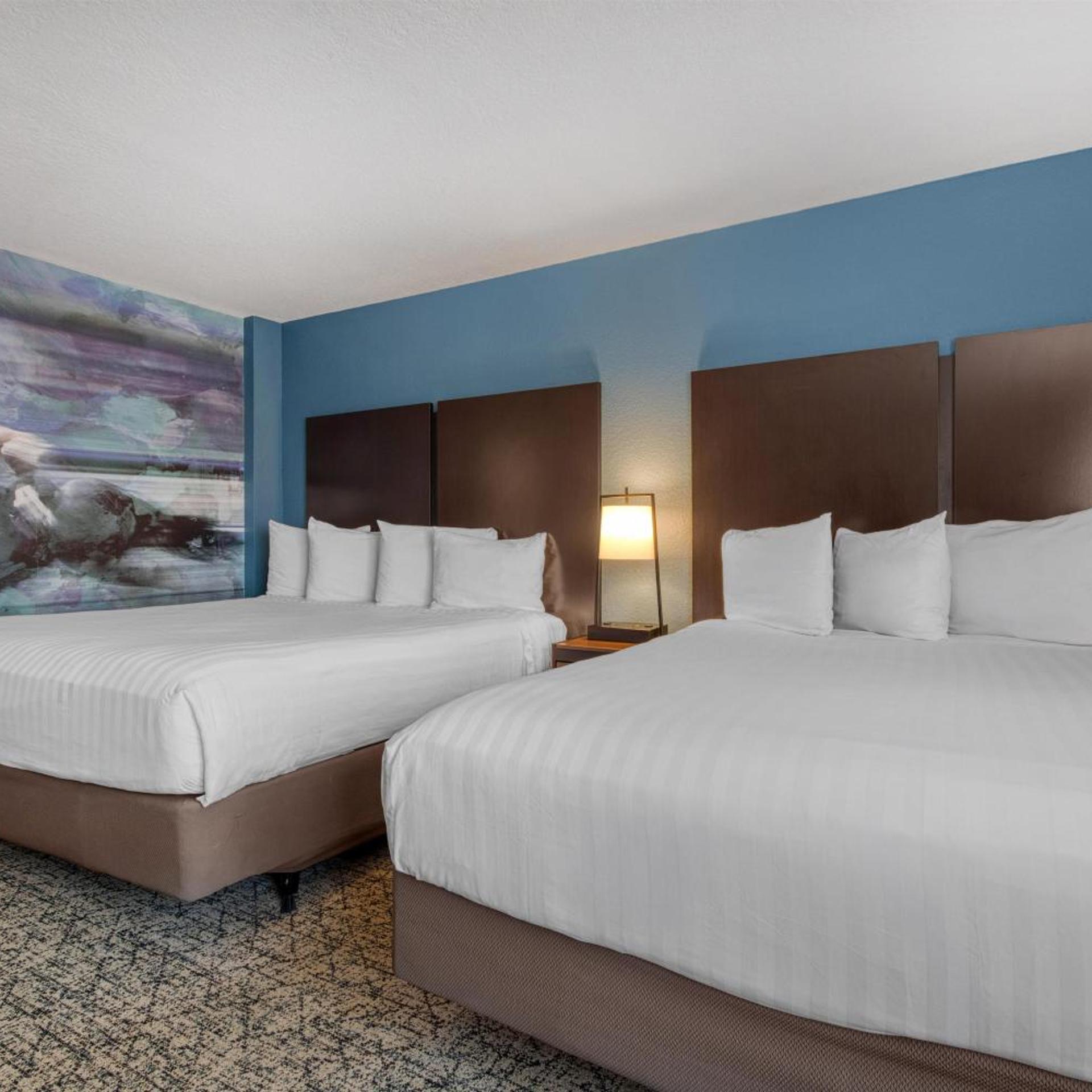 Mini, Suite, King Bed