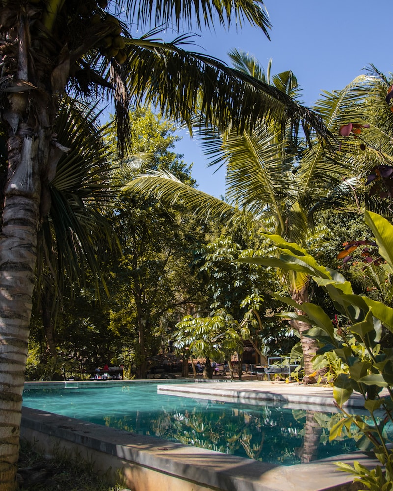 Nativ Lodge & Spa 42/50