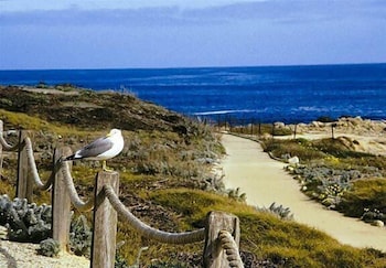 Asilomar Conference Grounds 5/66