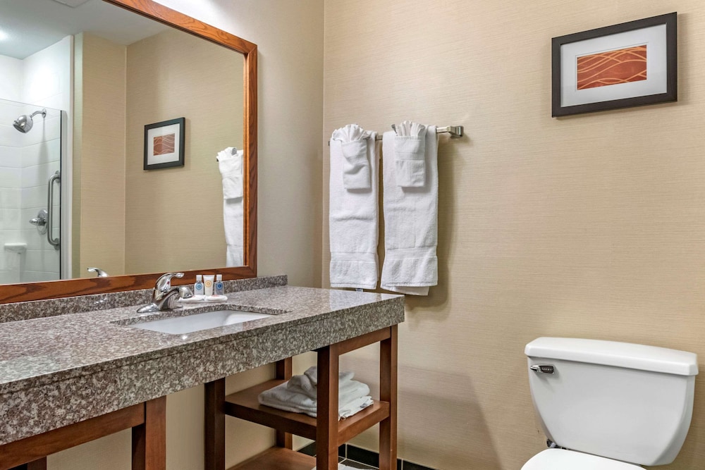 Comfort Inn Williamsport, PA 32/43