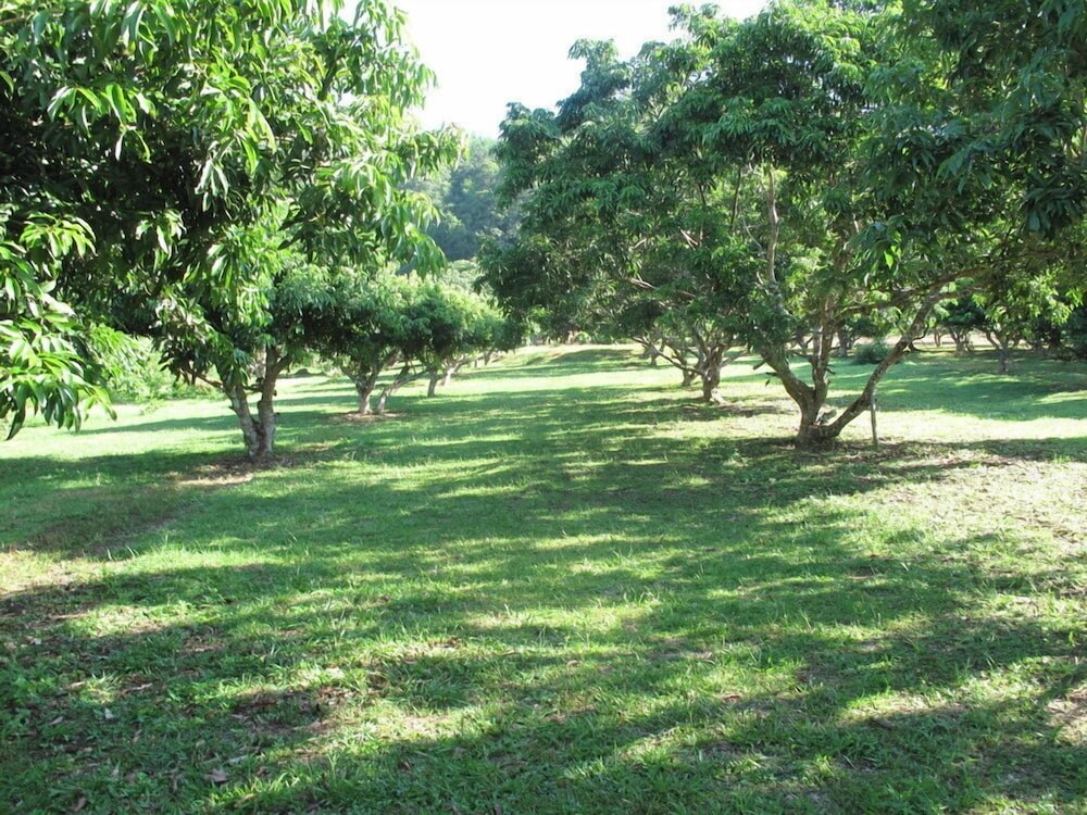 Bulun Buri Resort Chiang Mai 62/71