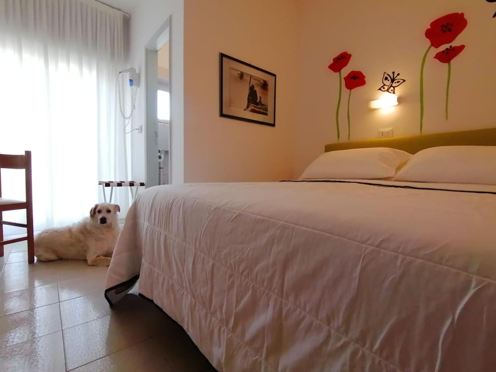 Room, Quadruple, Hotel Kristalex 2/4