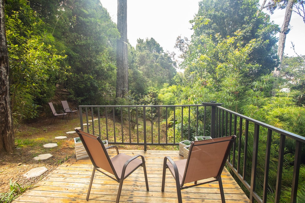 Dantica Cloud Forest Lodge 28/50