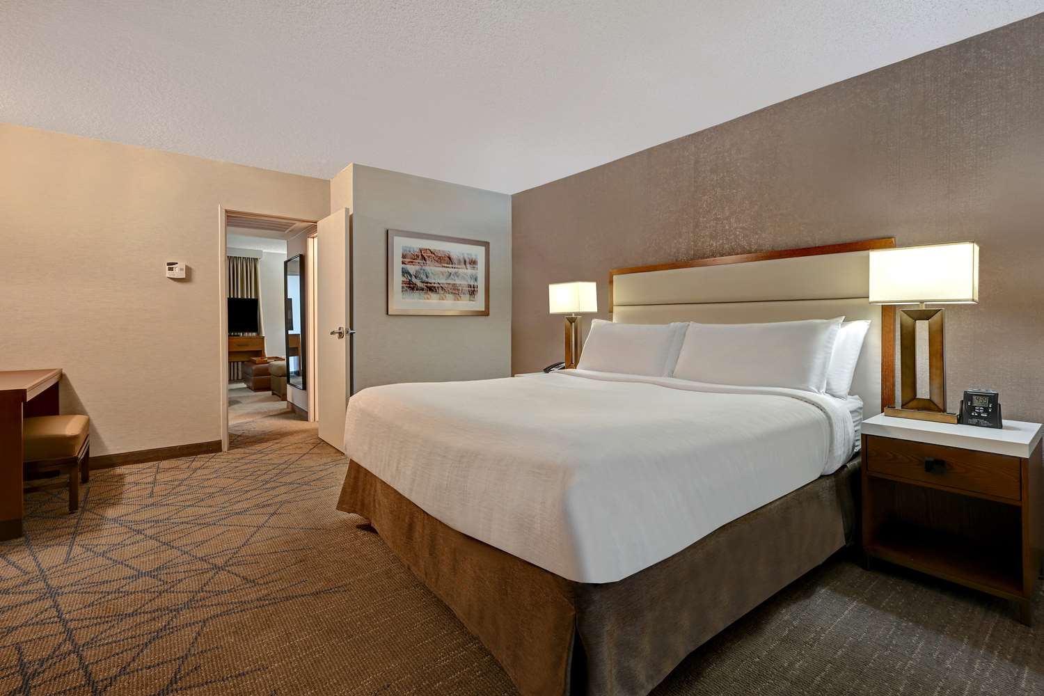 Suite, King Bed